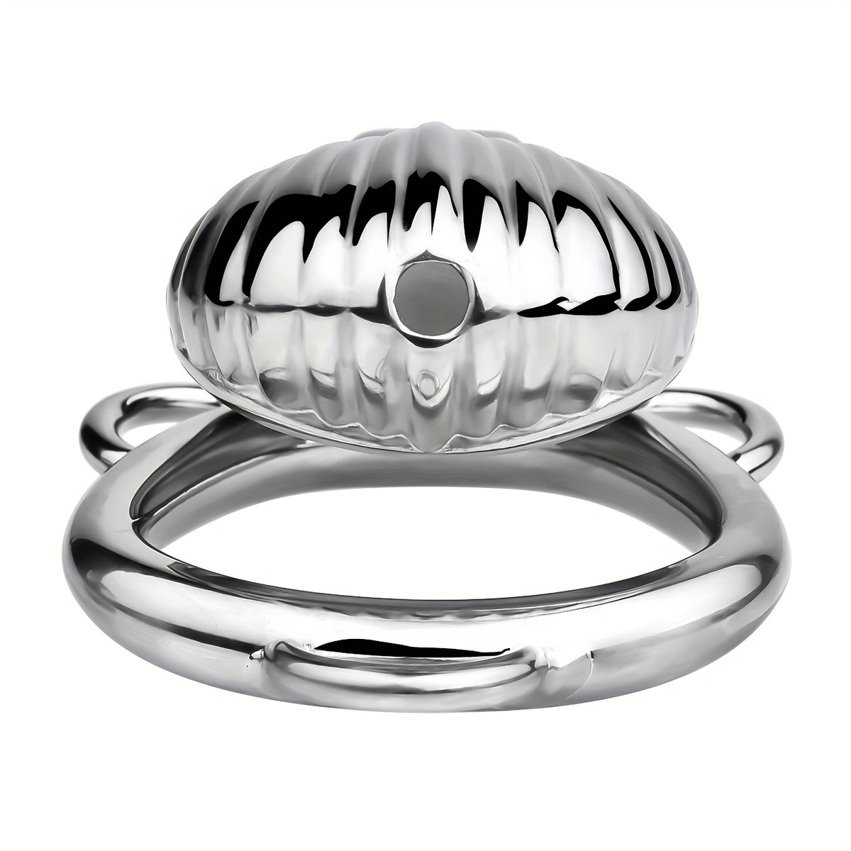 Control & Obedience Metal Chastity