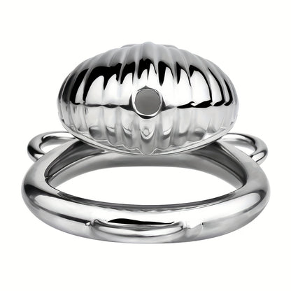 Control & Obedience Metal Chastity