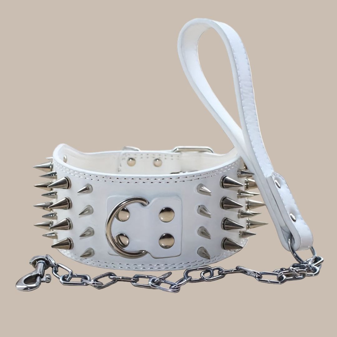 7.62 cm Wide Faux Leather 4 Rows Spiked Studded Dog Collar + Dog Leash Lead Set Heavy Duty Fit Pit Bull Terrier Mastiff