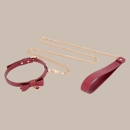 SUTEYI Cute Bowknot Dog Collar with Matching Leash Set - Adjustable, Durable, and Stylish Walking Accessory for Your Pet