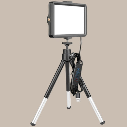 LED Light Content Creators Kit