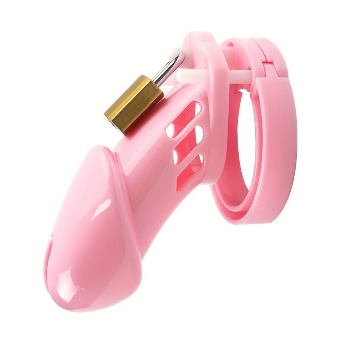Roleplay & Discipline Chastity Cage