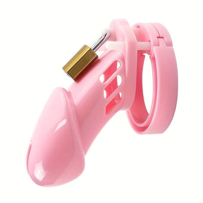 Roleplay & Discipline Chastity Cage