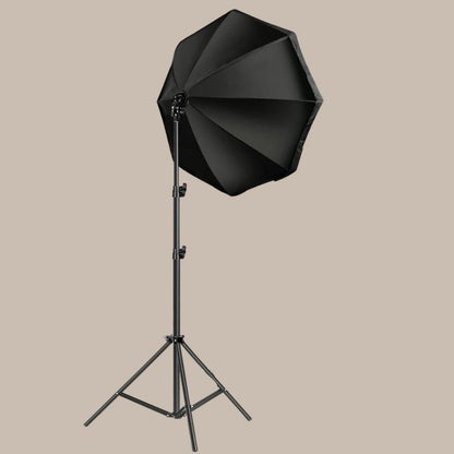 Professional Portrait Softbox