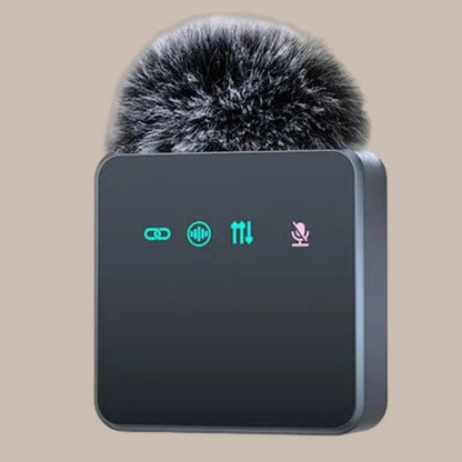 Portable Clip Mics