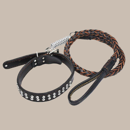Heavy-Duty Dog Leash for Medium to Large Dogs - Bite-Resistant Cowhide Collar with Adjustable Buckle, Protective Design, Comfortable Metal Clip & Ergonomic Handle for Golden Retrievers & German Shepherds, Dog Leash for Medium