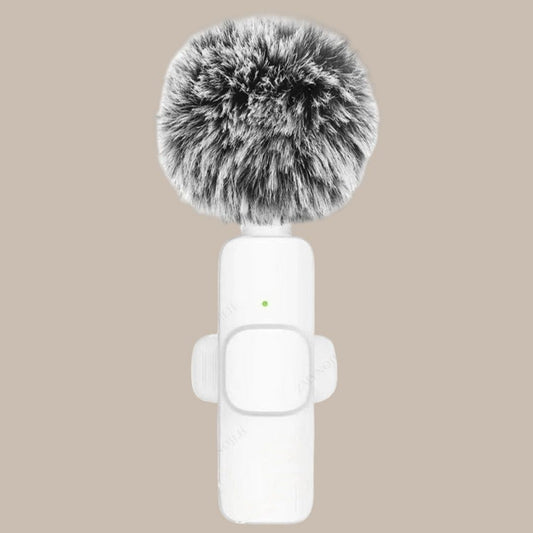 Professional Wireless Clip Mic