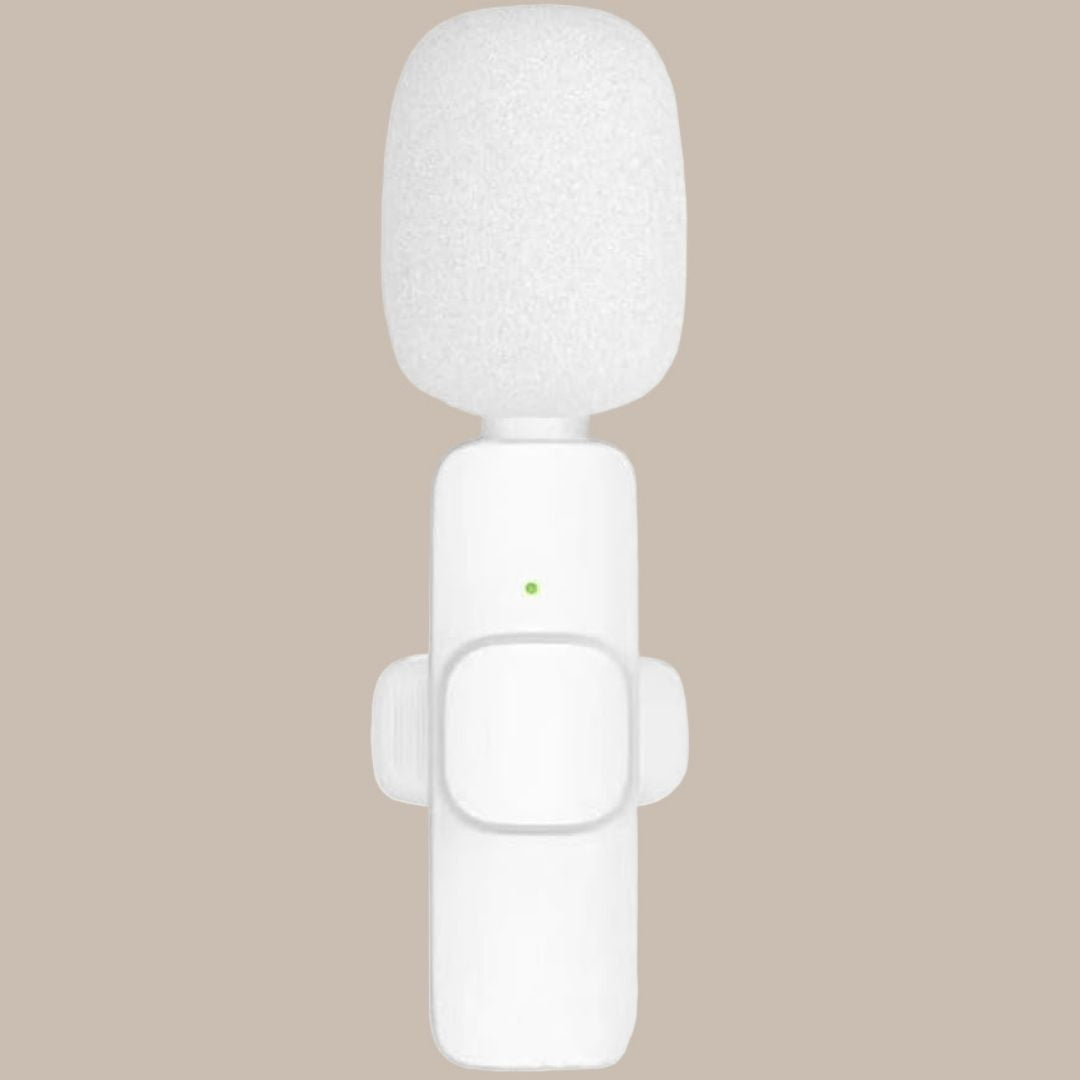 Portable Mini Clip Mics