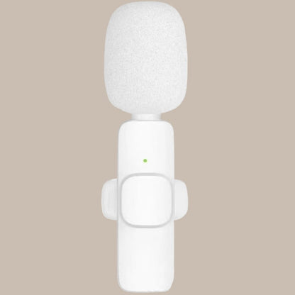 Portable Mini Clip Mics