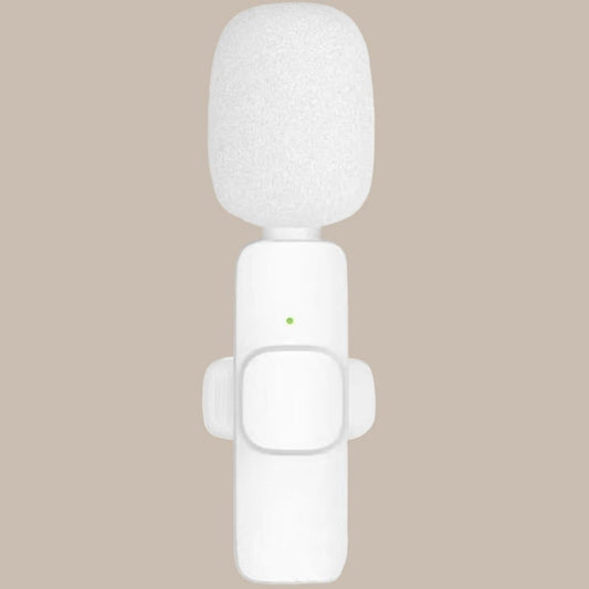 Portable Mini Clip Mics
