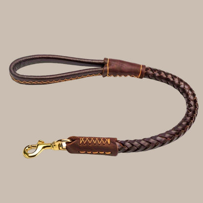 1 High-Quality Dog Leash for Medium Dogs - Durable with Metal Clip, Adjustable Strap & Metal Buckle, Ergonomic Design for Outdoor Walks, Training & Daily Use, Dog Leash for Medium Dogs, Sturdy Metal Clip, Without Battery