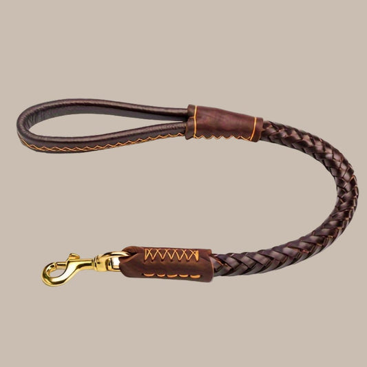 1 High-Quality Dog Leash for Medium Dogs - Durable with Metal Clip, Adjustable Strap & Metal Buckle, Ergonomic Design for Outdoor Walks, Training & Daily Use, Dog Leash for Medium Dogs, Sturdy Metal Clip, Without Battery