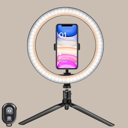 Light For OnlyFans, Webcam Models