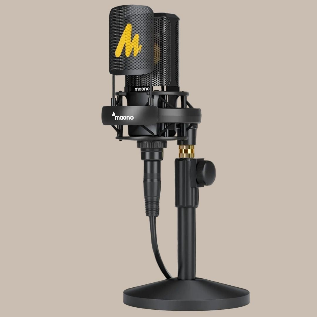 Professional Pro Mic