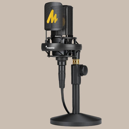 Professional Pro Mic