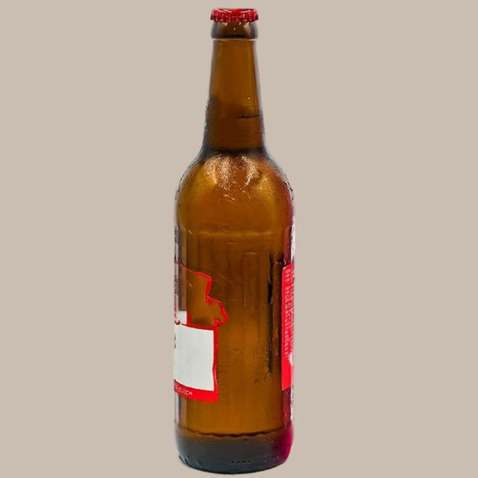Beer Bottle-Shaped Anal Plug – 2025 New Arrival Unisex Pleasure Toy, beer-shaped sex toy, prostate