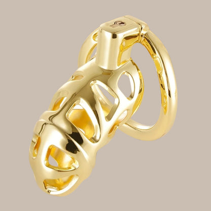 Luxury Golden Male Chastity