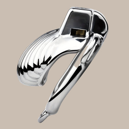 Control & Obedience Metal Chastity