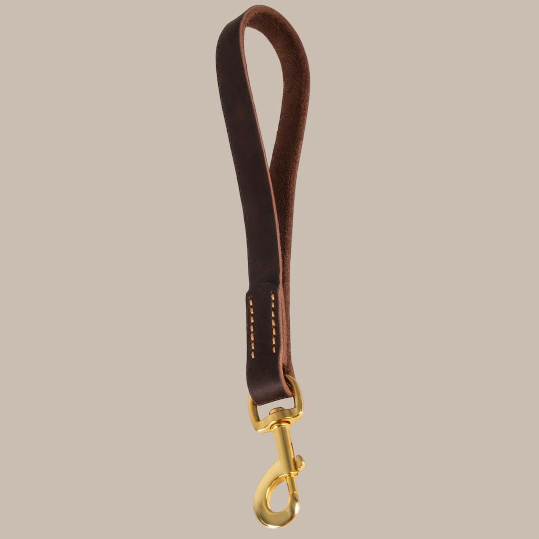 ITANDME Premium Dog Leash - Strong, Durable Brown Cowhide with Golden Metal Handle for Large Dog Training and Walking, Pet Walking Accessory | Polished Metal Handle | Durable Cowhide, Leash for Dogs