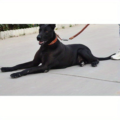 Heavy-Duty Dog Leash for Medium to Large Dogs - Bite-Resistant Cowhide Collar with Adjustable Buckle, Protective Design, Comfortable Metal Clip & Ergonomic Handle for Golden Retrievers & German Shepherds, Dog Leash for Medium