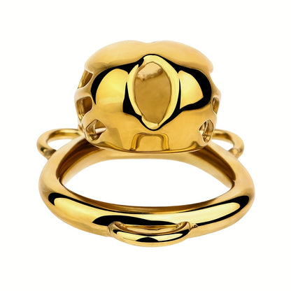 Golden Adjustable Chastity Control