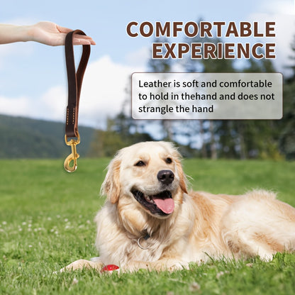 ITANDME Premium Dog Leash - Strong, Durable Brown Cowhide with Golden Metal Handle for Large Dog Training and Walking, Pet Walking Accessory | Polished Metal Handle | Durable Cowhide, Leash for Dogs