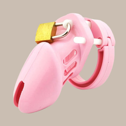 Roleplay & Discipline Chastity Cage
