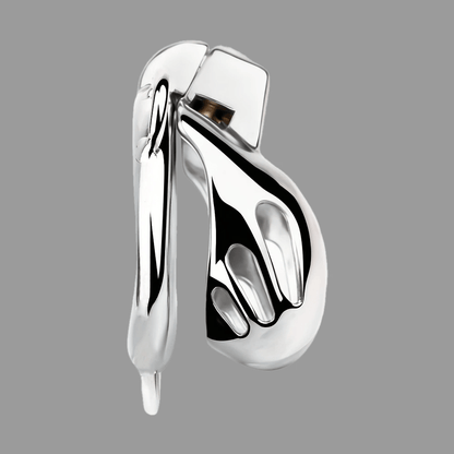 Premium Chastity Cage Bondage Essential