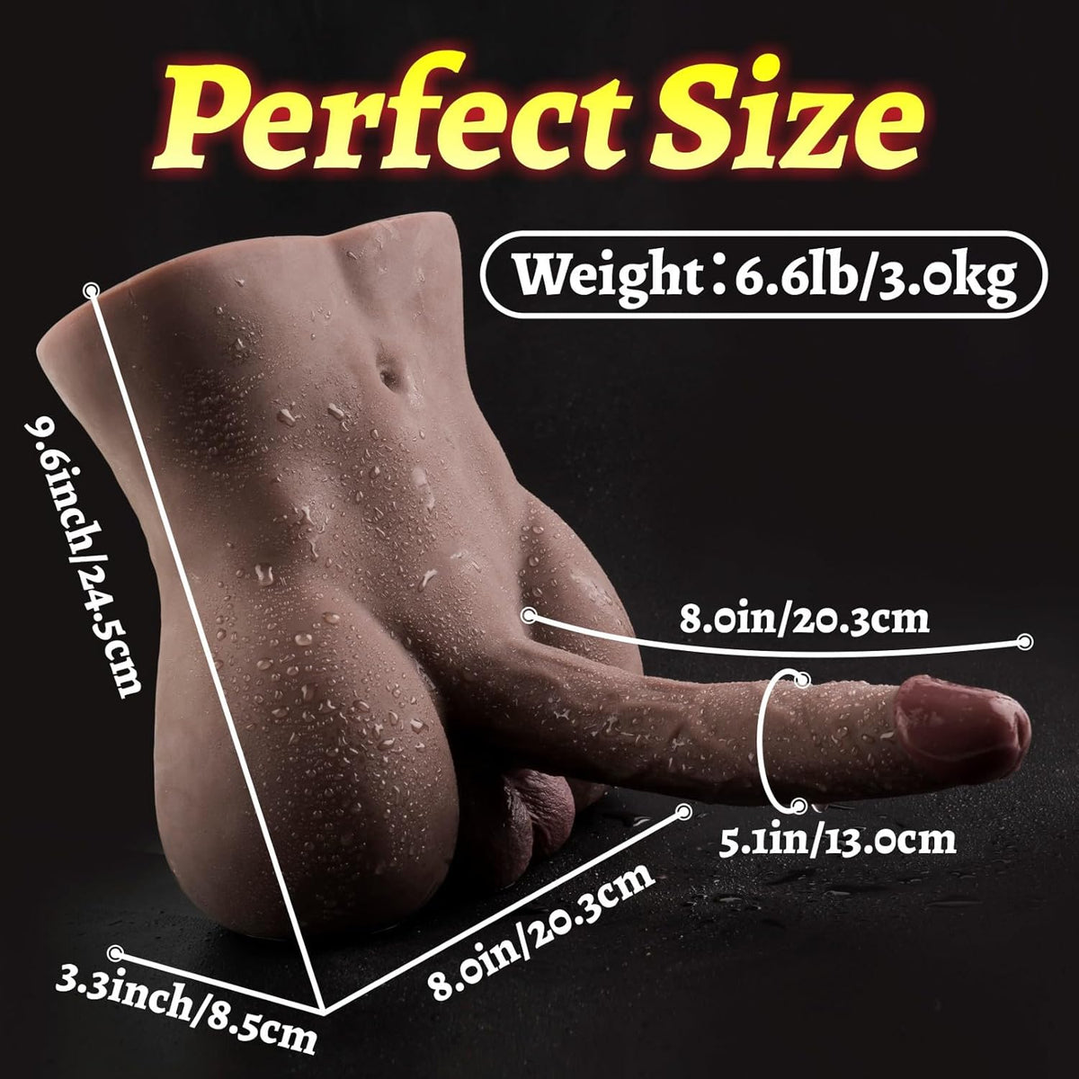 Realistic Male Torso