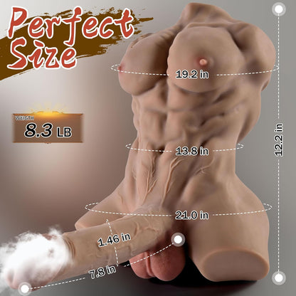Soft Muscular Male Torso