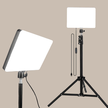 Online Creator & Influencer Lighting