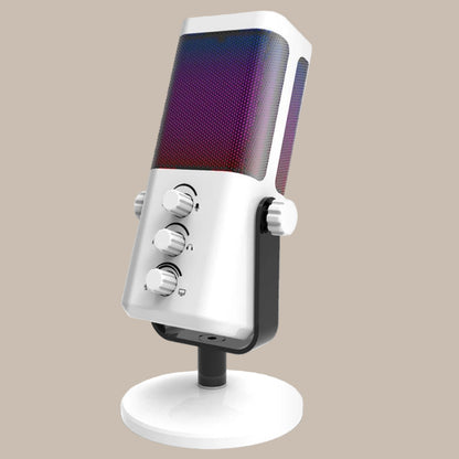 Dynamic Microphone