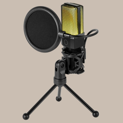 Professional Studio Mic Kit