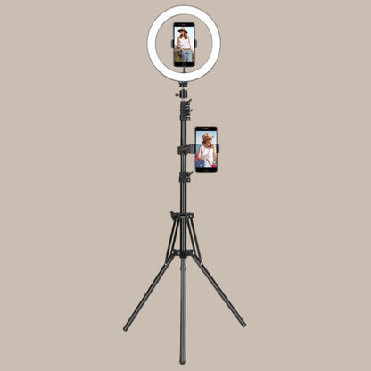 Adult Content Creators Light With Tripod