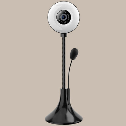 3-in-1 4K Webcam with Mic
