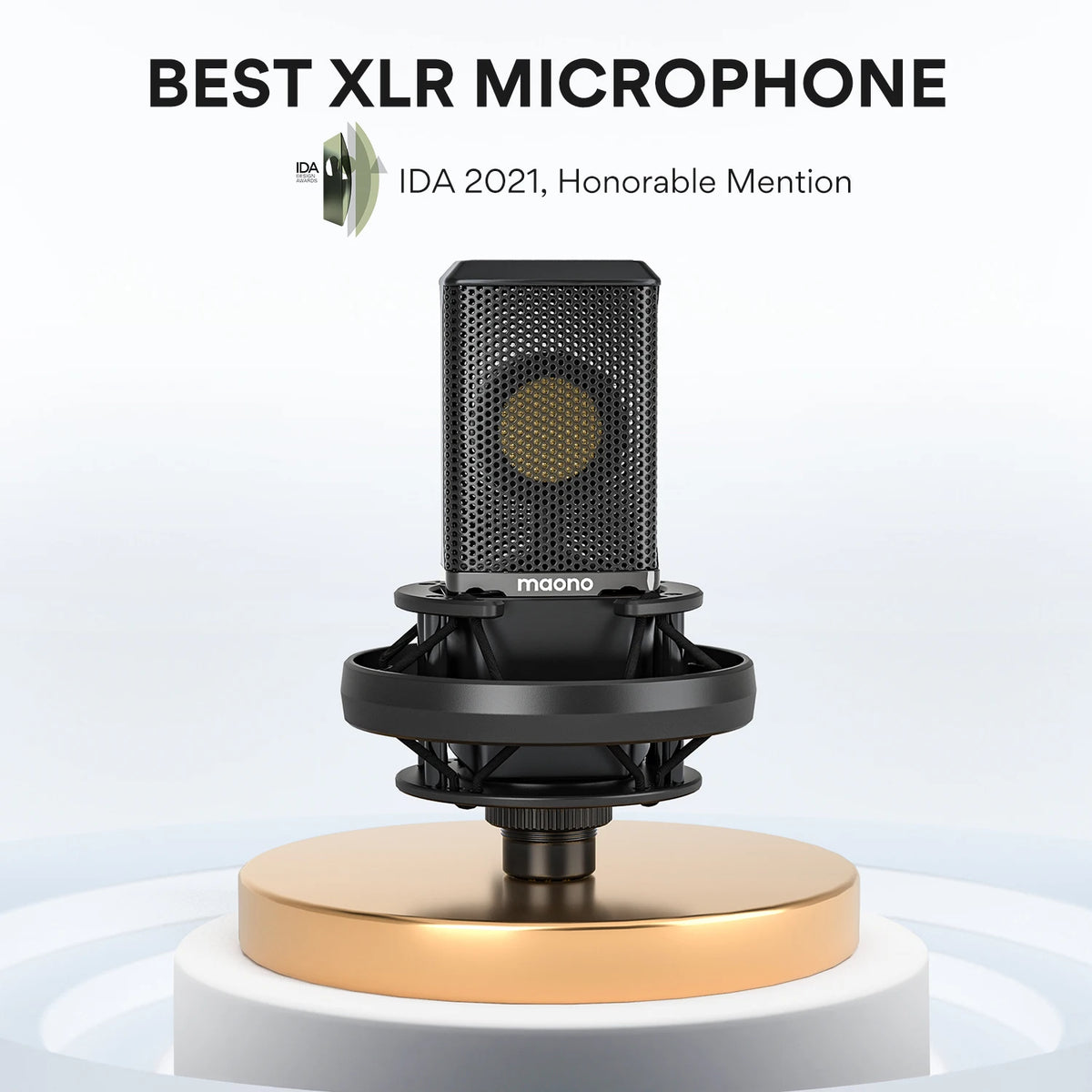 Professional Pro Mic