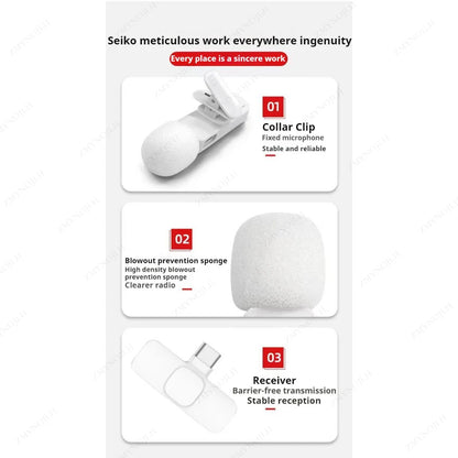 Professional Wireless Lapel Mic
