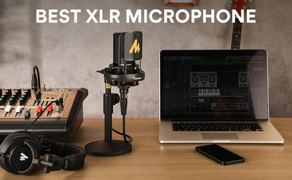 Professional Pro Mic