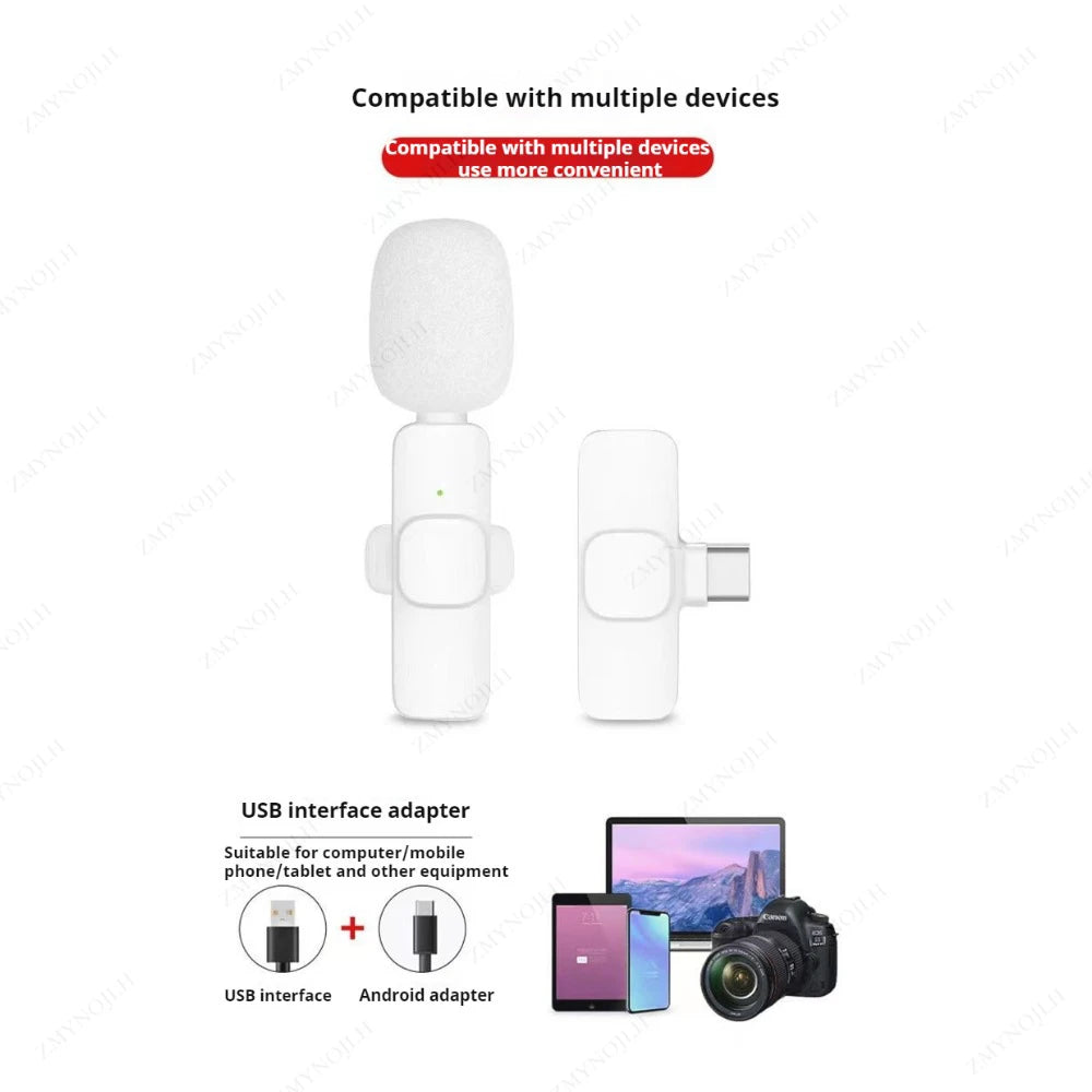 Professional Wireless Lapel Mic