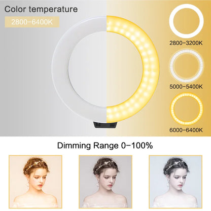 LED Light Content Creators Kit