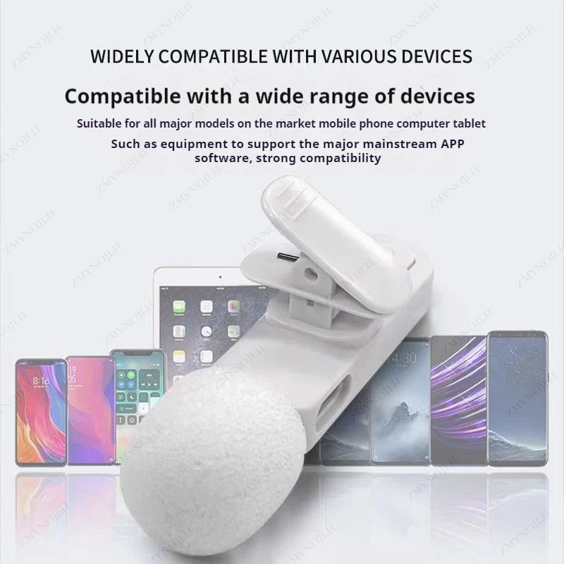 Professional Wireless Lapel Mic