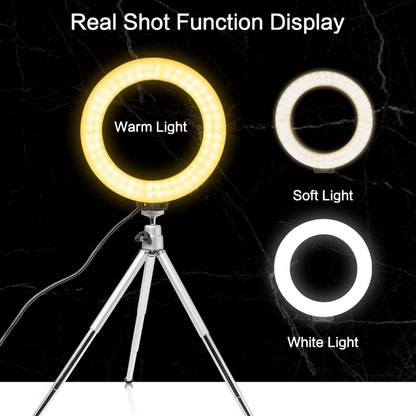 LED Light Content Creators Kit