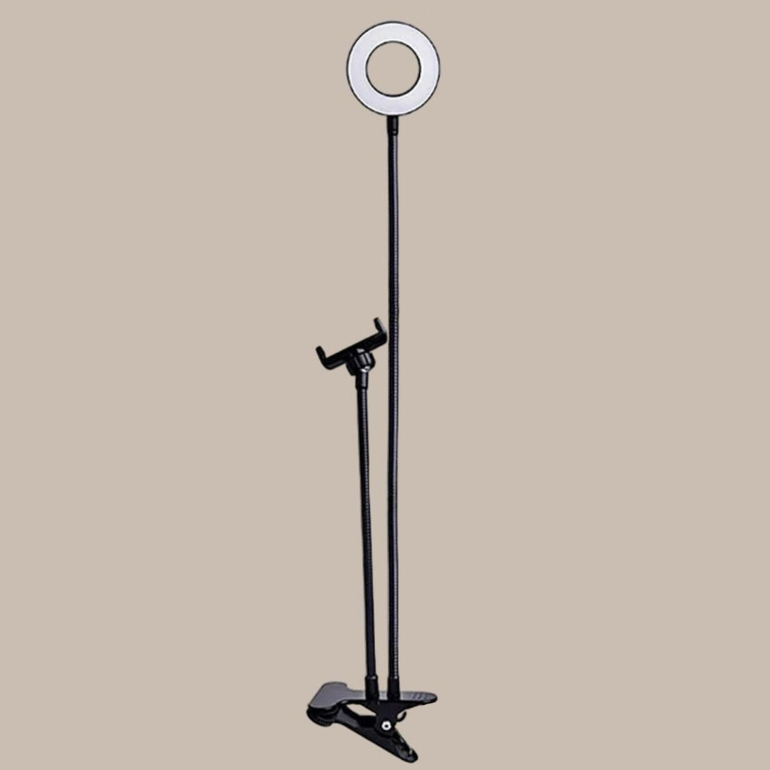 Modern Style Dual LED Broadcasts Light
