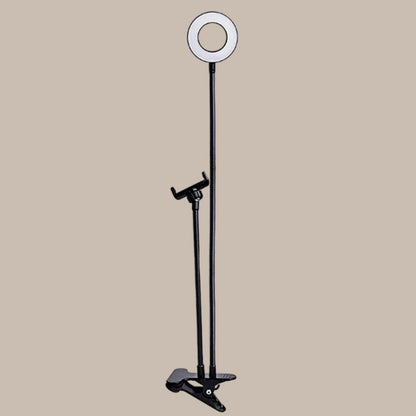 Modern Style Dual LED Broadcasts Light