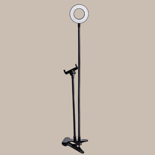 Modern Style Dual LED Broadcasts Light
