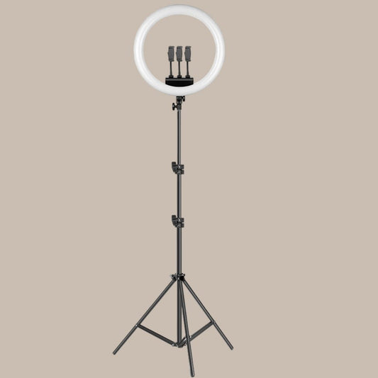 Creators Cam Models Lights