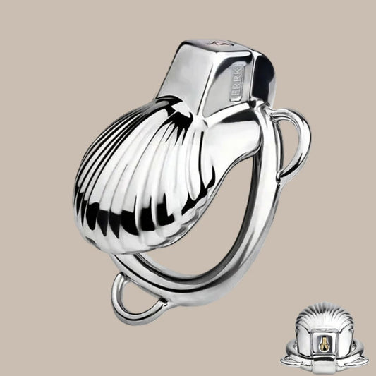 Control & Obedience Metal Chastity