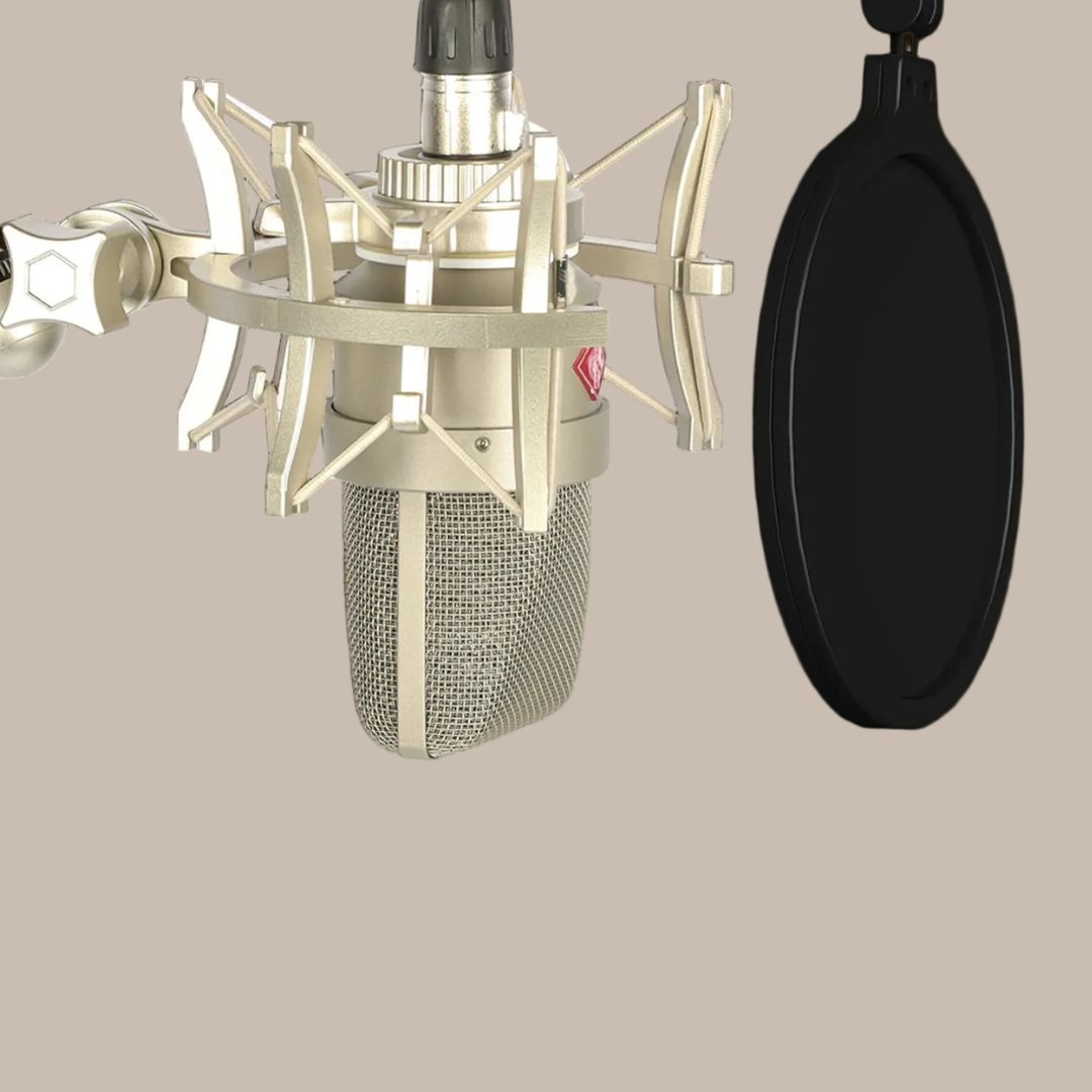 Professional Audio Recording Microphone