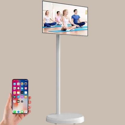 Wireless Screen Projection Monitor