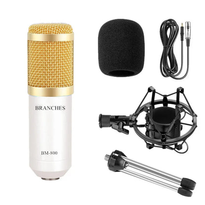 Pro Streaming USB Mic